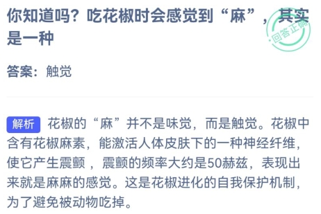 今日小鸡庄园答案揭晓